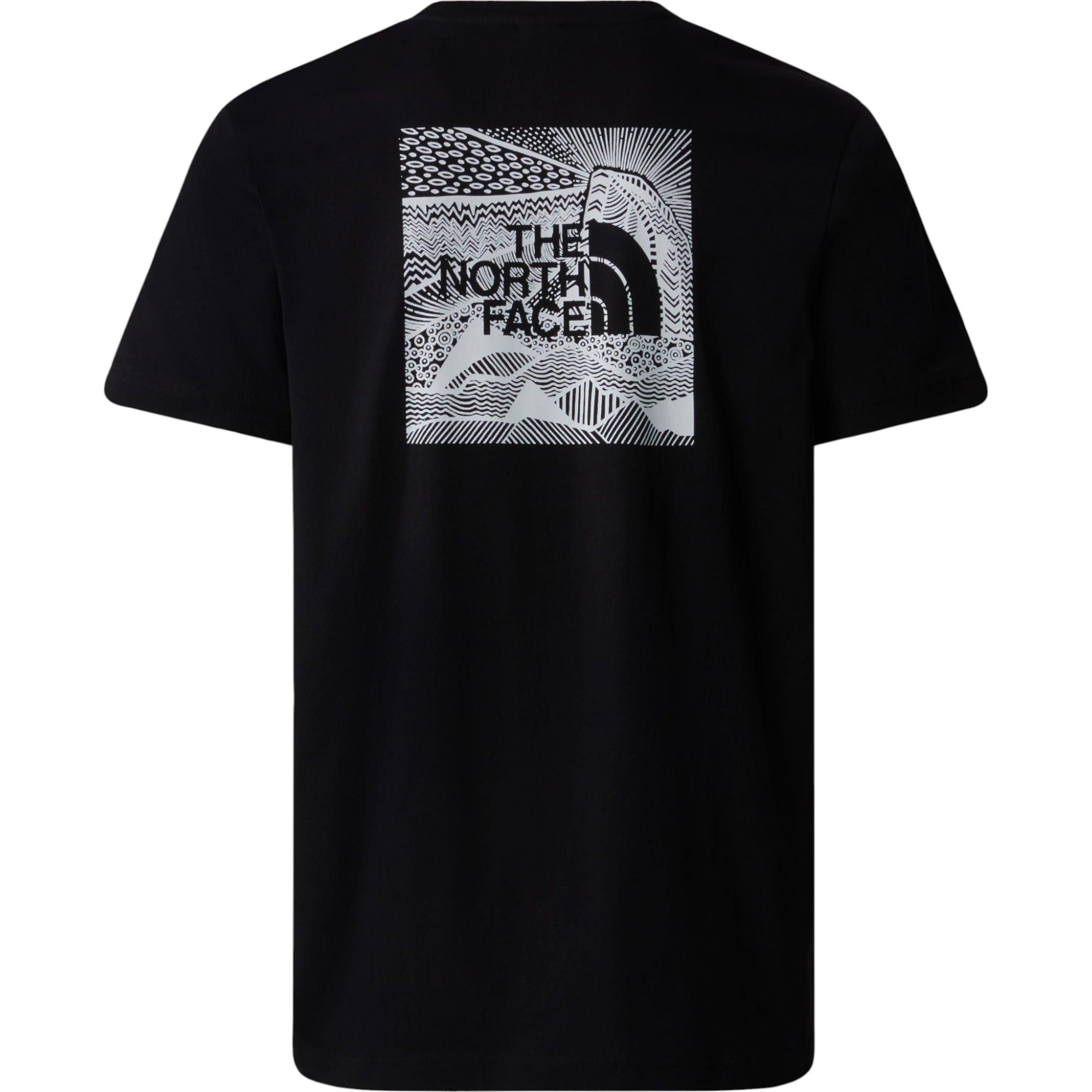 The North Face Mens T Shirts Box NSE Celebration Crew Neck Graphic Print Summer Tee