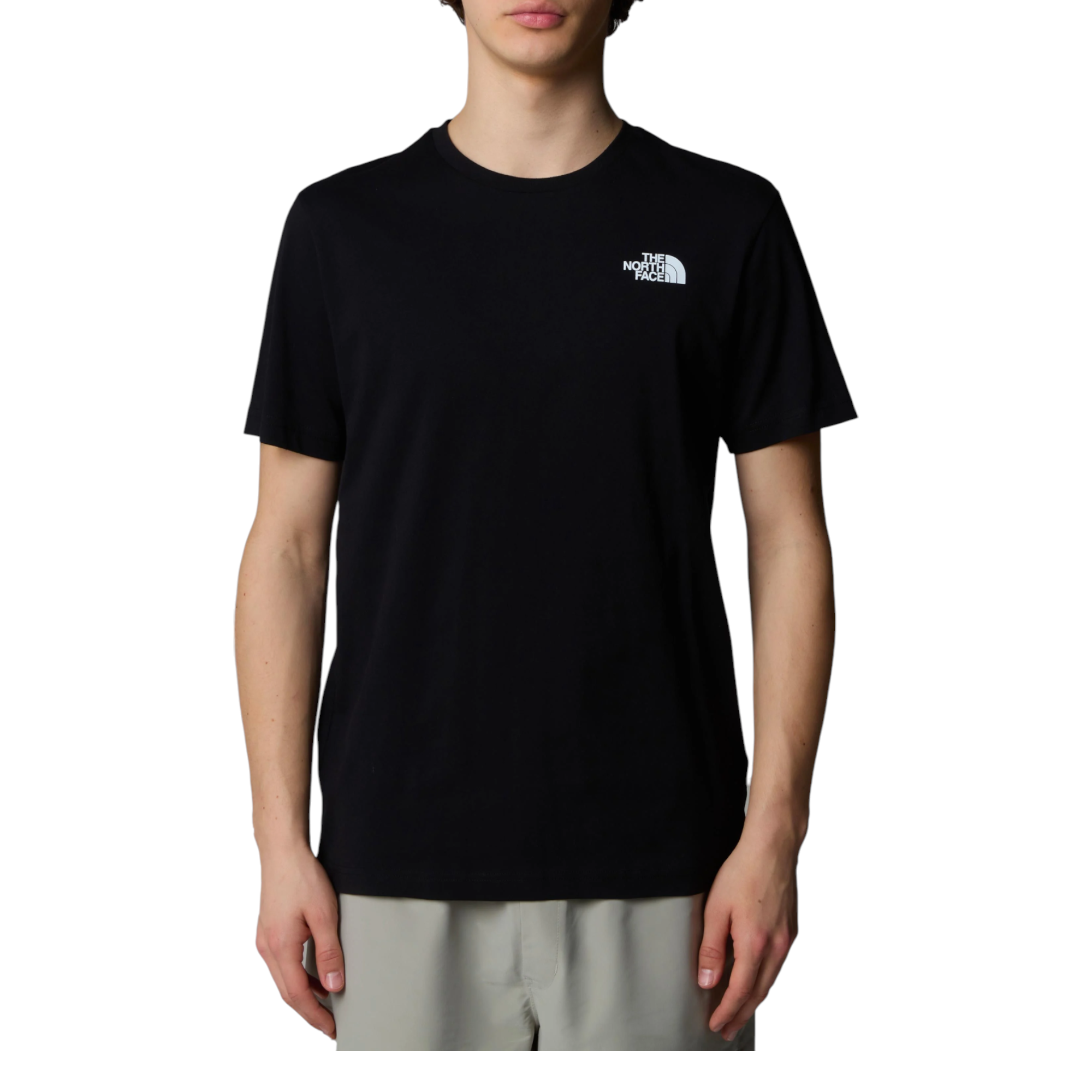 The North Face Mens T Shirts Box NSE Celebration Crew Neck Graphic Print Summer Tee