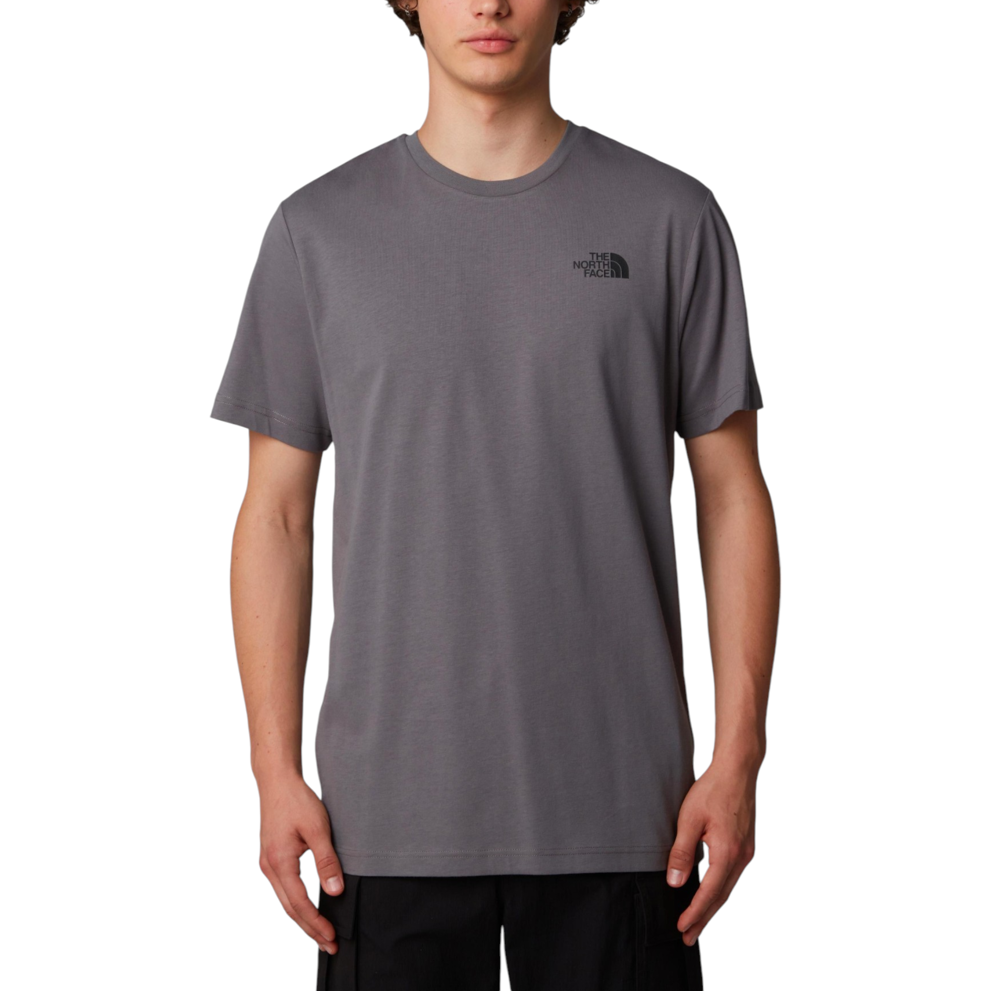 The North Face Mens T Shirts Box NSE Celebration Crew Neck Graphic Print Summer Tee