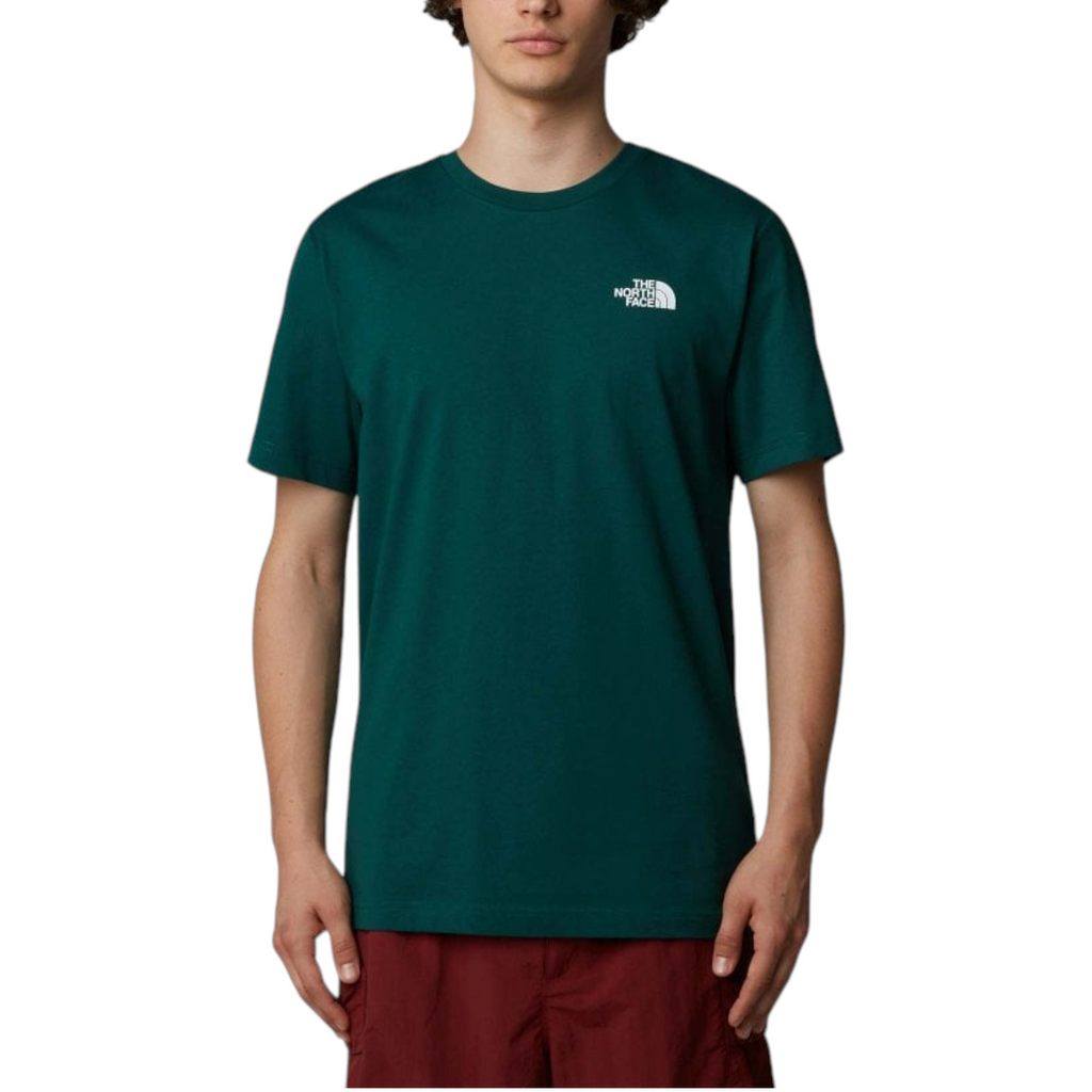 The North Face Mens T Shirts Box NSE Celebration Crew Neck Graphic Print Summer Tee
