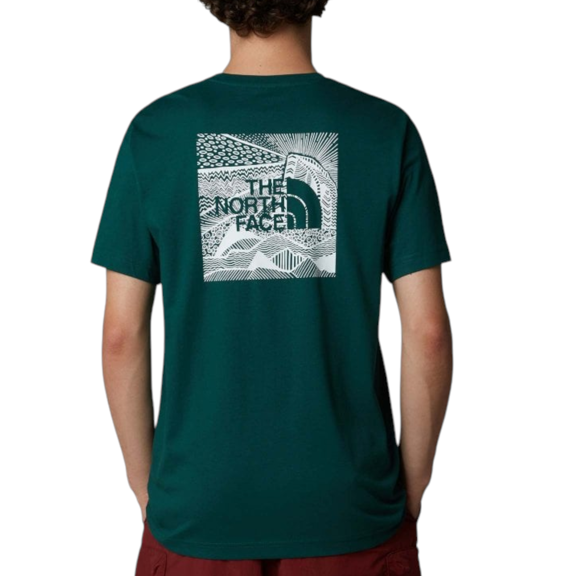 The North Face Mens T Shirts Box NSE Celebration Crew Neck Graphic Print Summer Tee