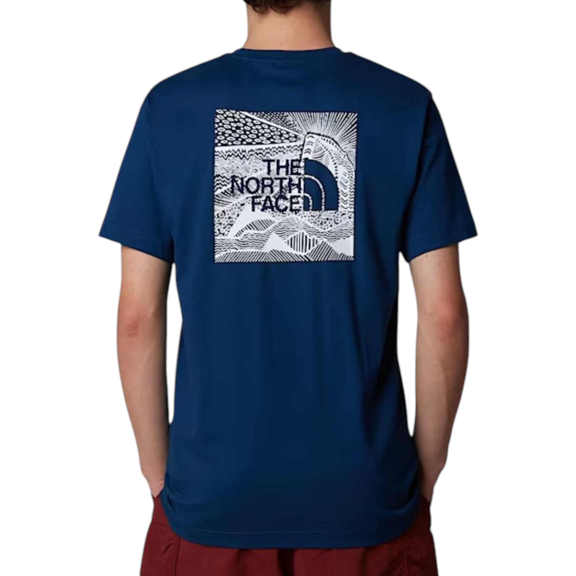 The North Face Mens T Shirts Box NSE Celebration Crew Neck Graphic Print Summer Tee