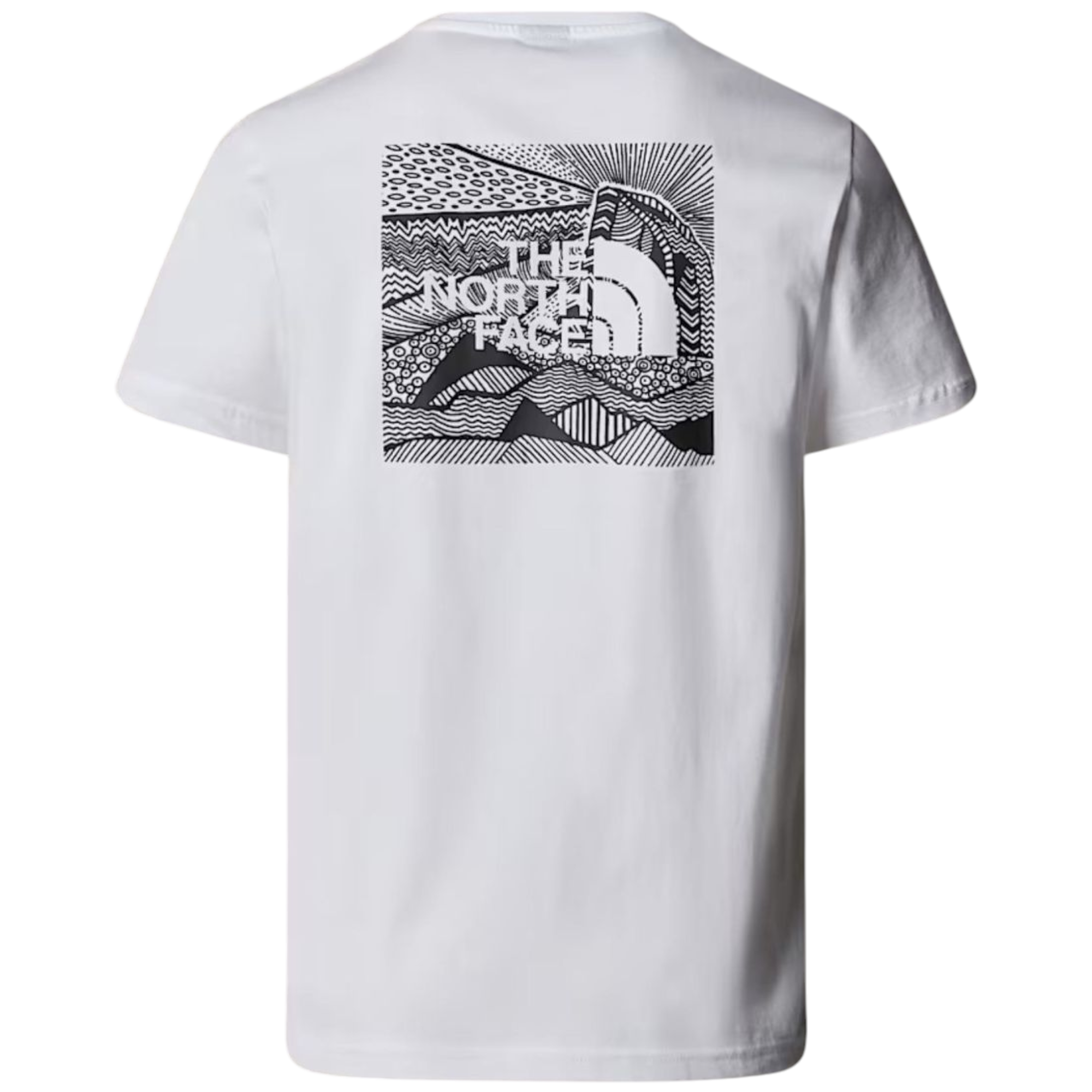 The North Face Mens T Shirts Box NSE Celebration Crew Neck Graphic Print Summer Tee
