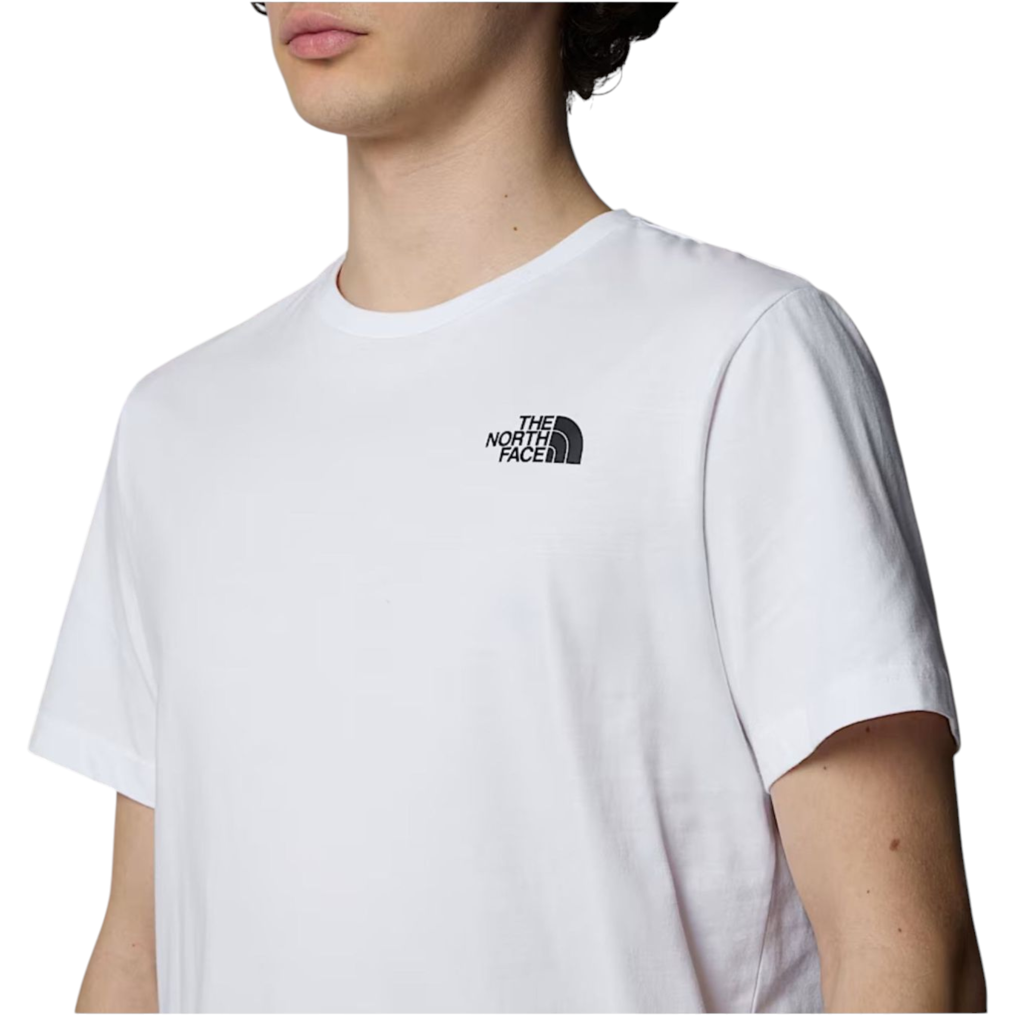 The North Face Mens T Shirts Box NSE Celebration Crew Neck Graphic Print Summer Tee