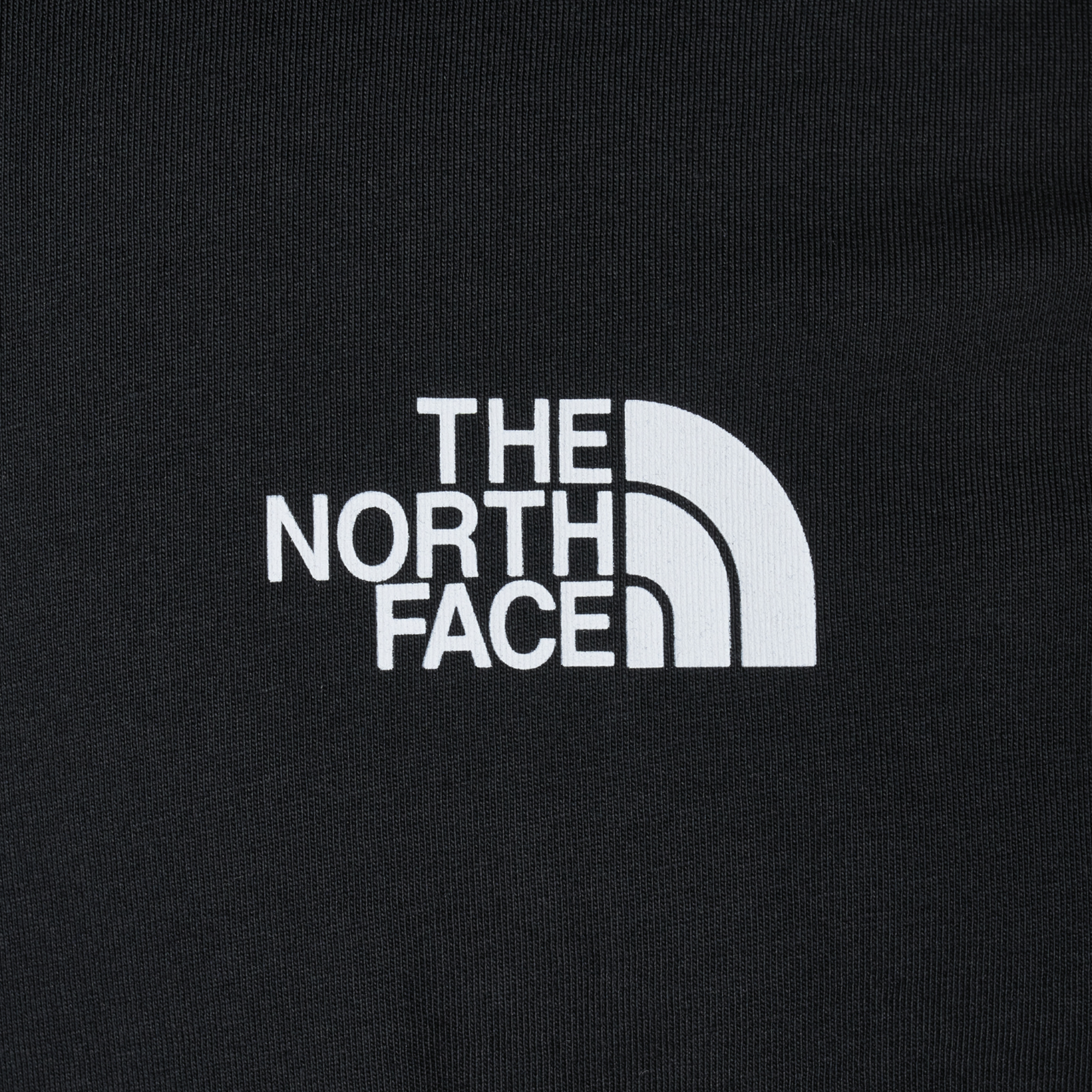 The North Face Mens T Shirts Mountain Front Short Sleeve Graphic Print Cotton Tee